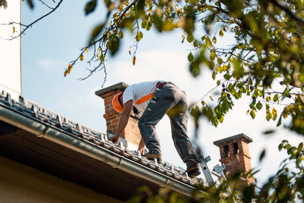 Best Roof Gutter Cleaning  in Hartley, IA